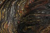 Polished Tiger Iron Stromatolite - ( Billion Years) #96233-1